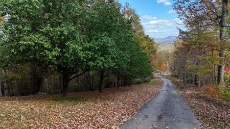 Lot 8 Mull Lane