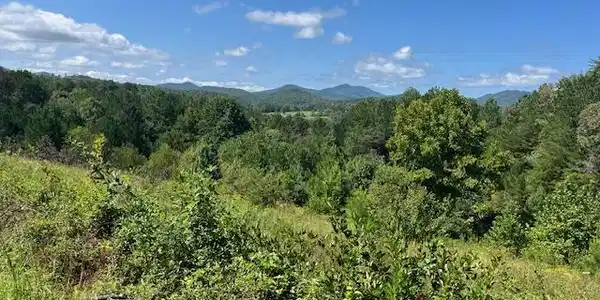 Lot 18 Saddle Ridge Farms