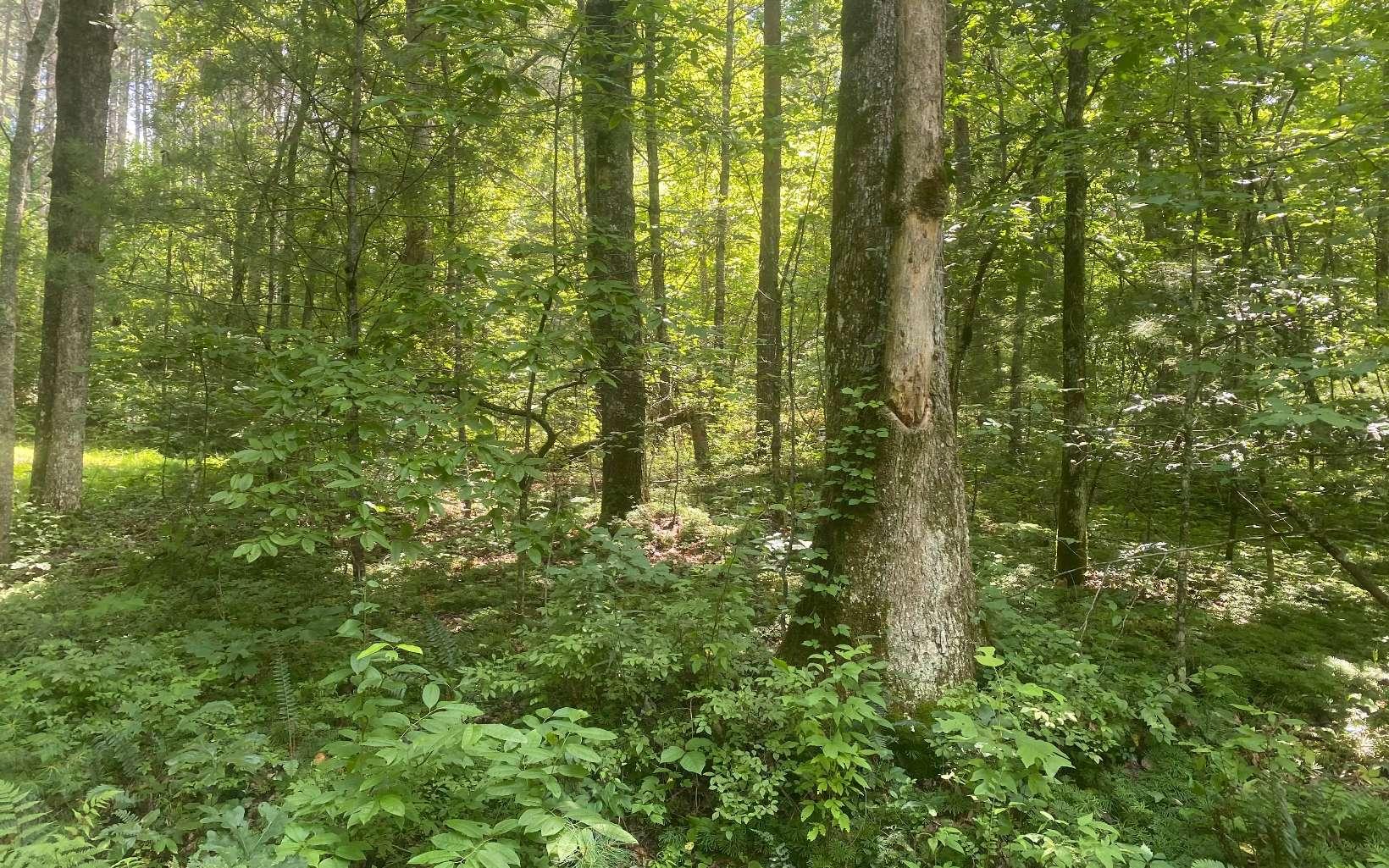Image 1: Main View