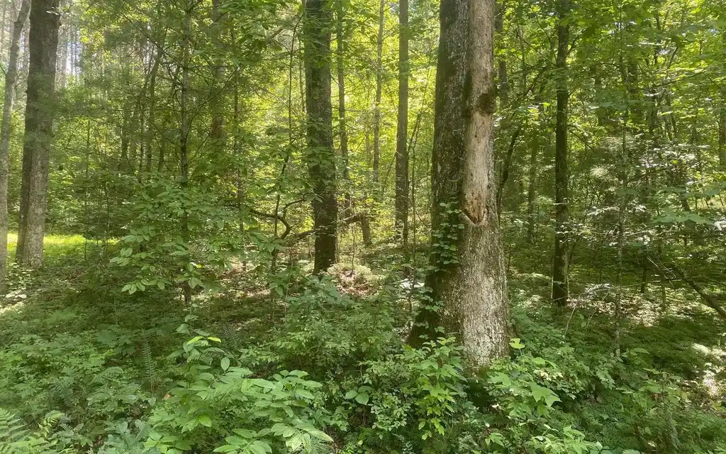 Image 1: Main View