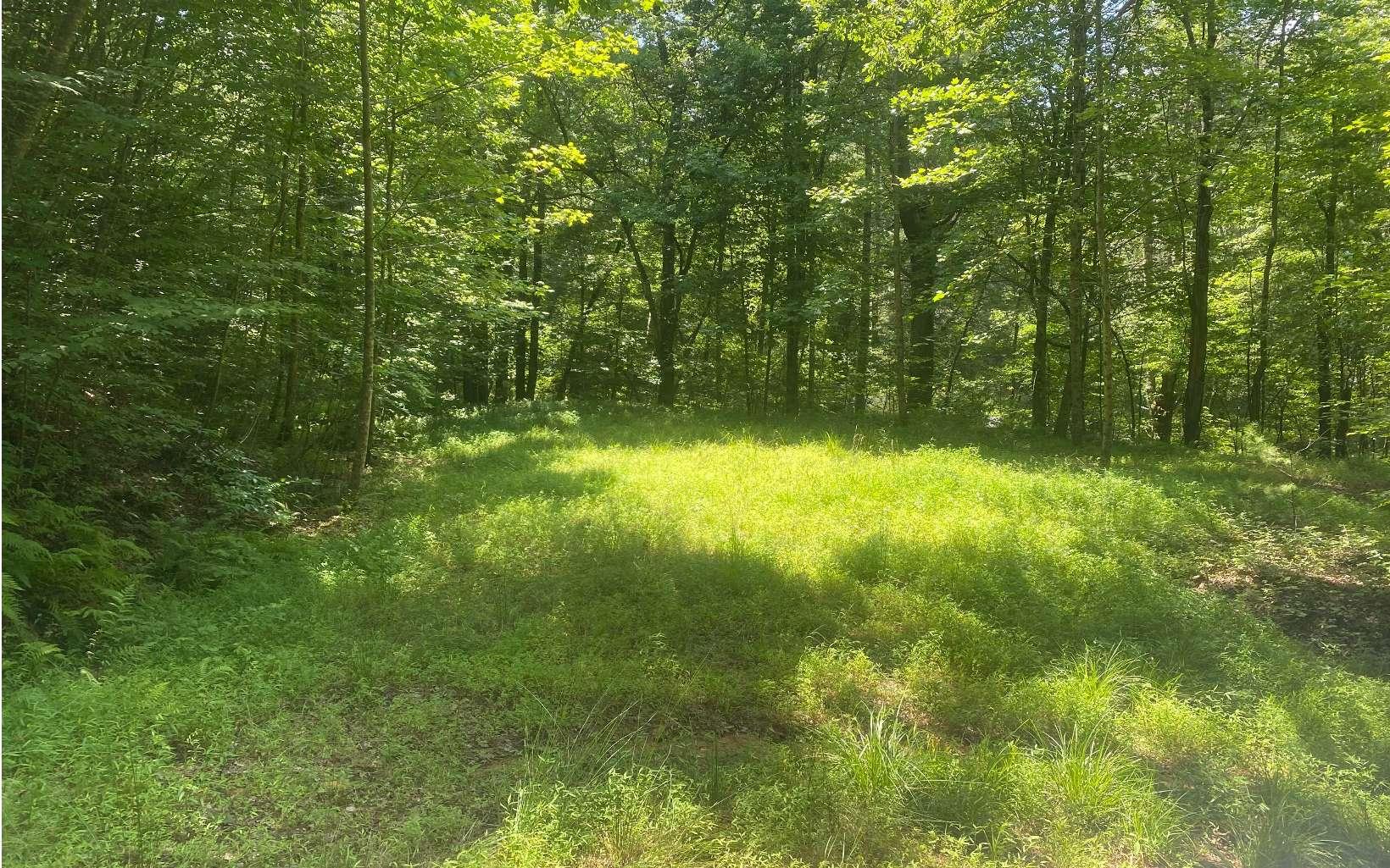 Image 2: Additional View