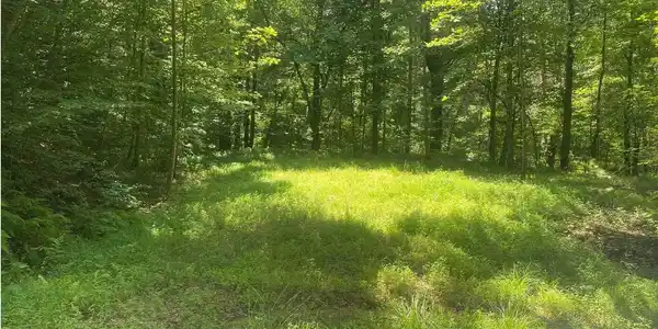 Image 2: Additional View