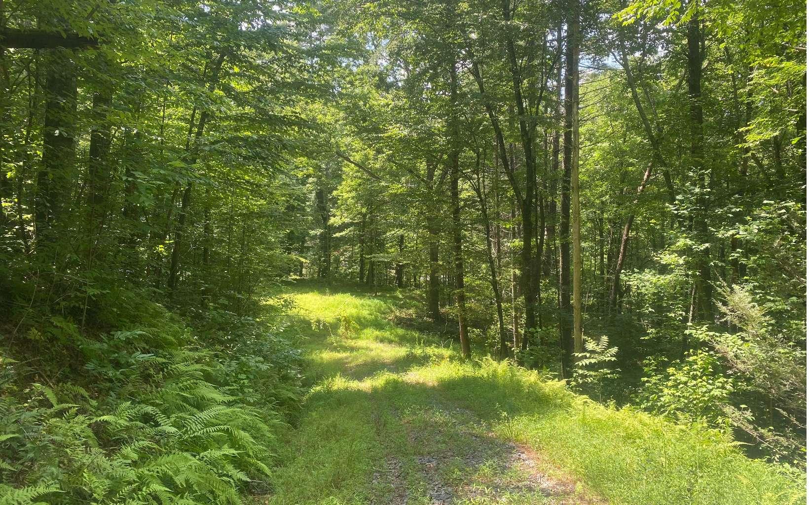 Image 3: Additional View