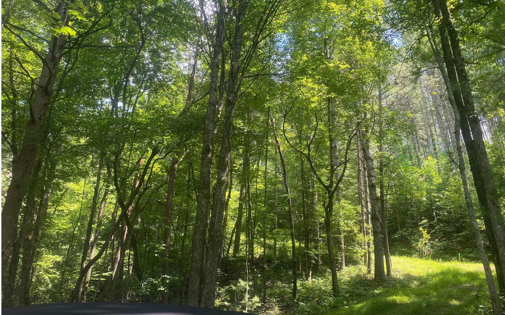 Image 4: Additional View