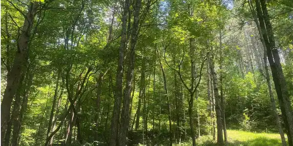 Image 4: Additional View