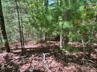 Lot 2 Mount Pleasant Ridge Road