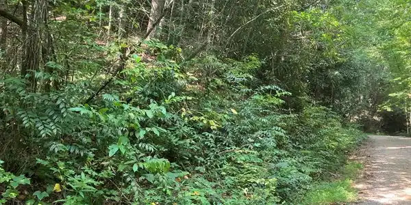 5.8 Copper Creek Road