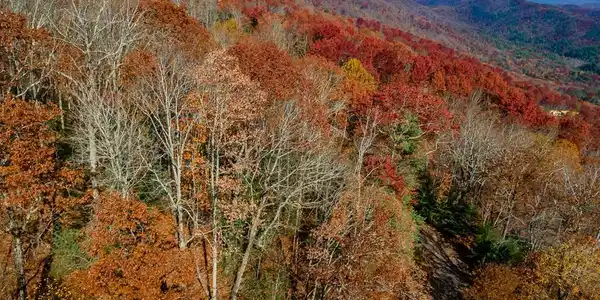 36 Utana Bluffs Trail