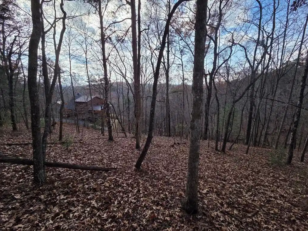Image 1: Main View