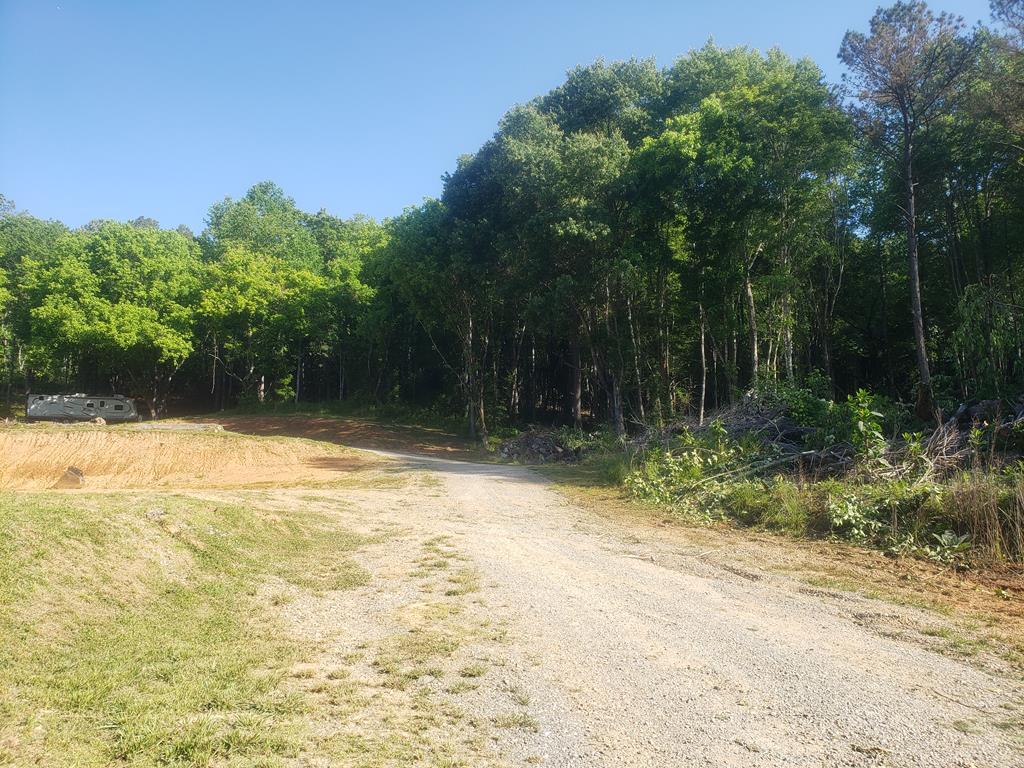 Image 1: Main View