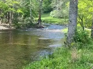 Image 3: Coopers Creek