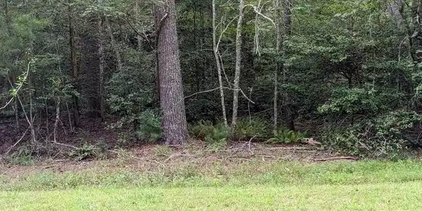 Lot 11 Quail Cove Circle