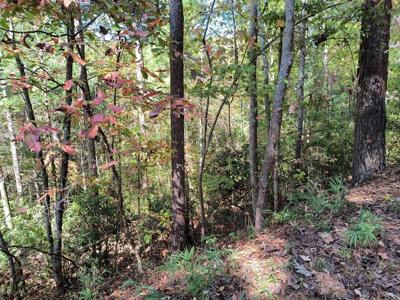Lot 334 Cold Stream Court