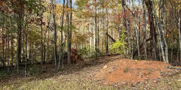 39 Acres Hedden Stiles Road