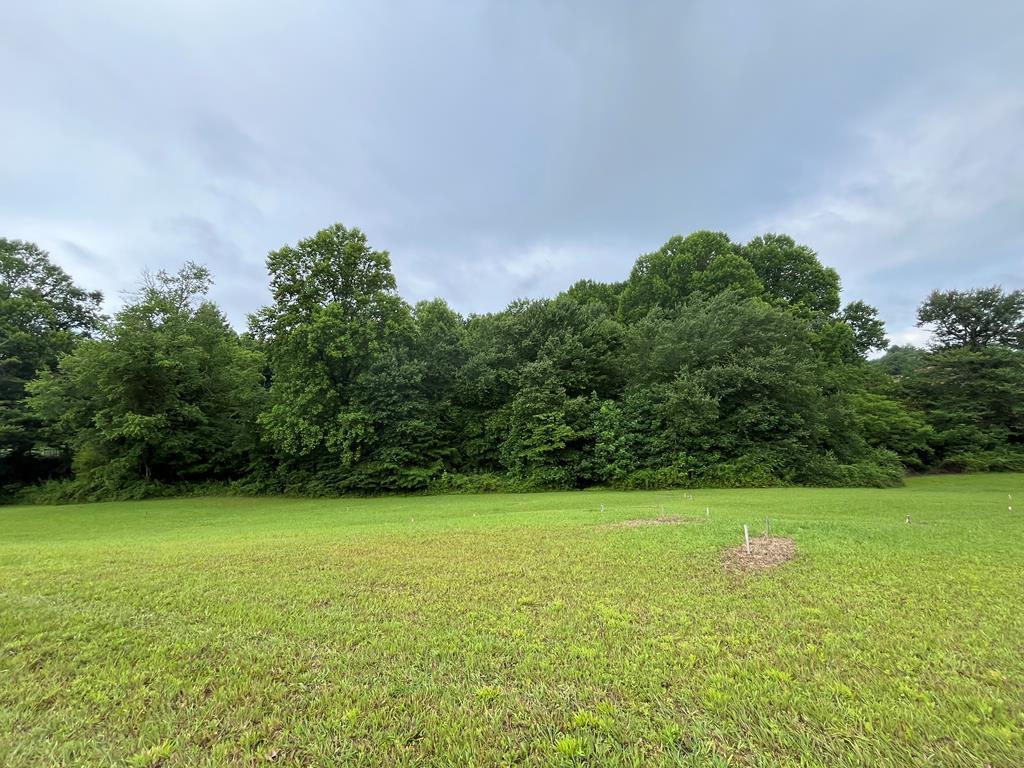 Image 1: Main View