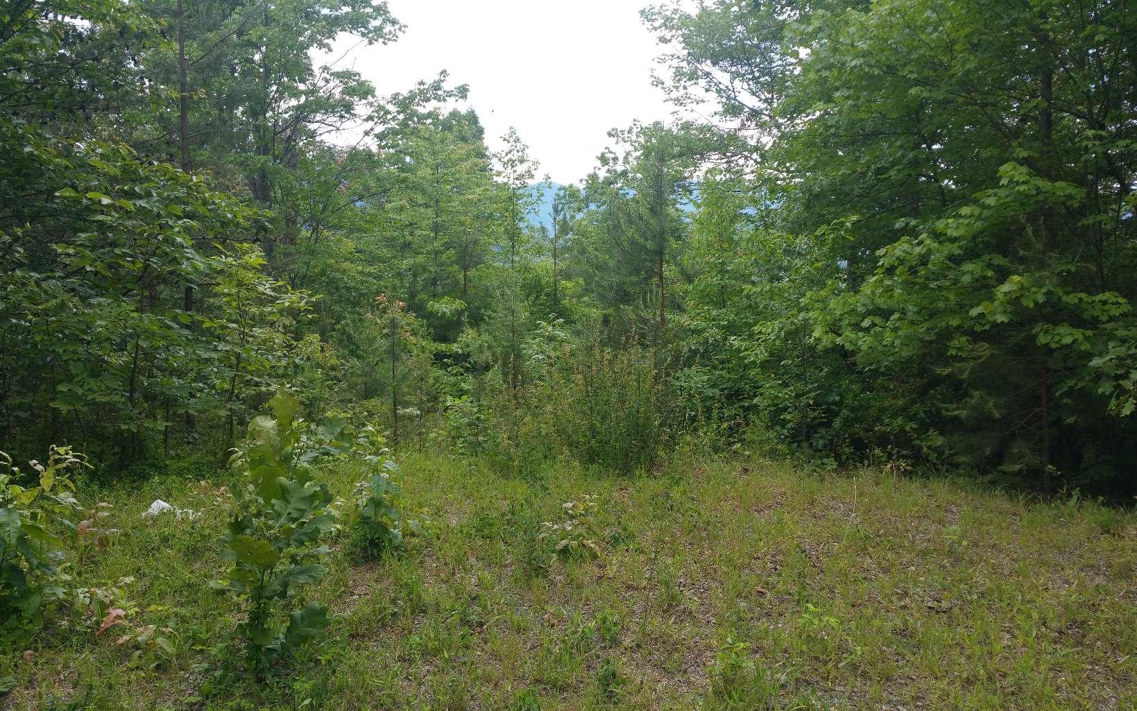 Image 2: Additional View