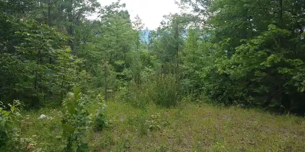 Image 2: Additional View