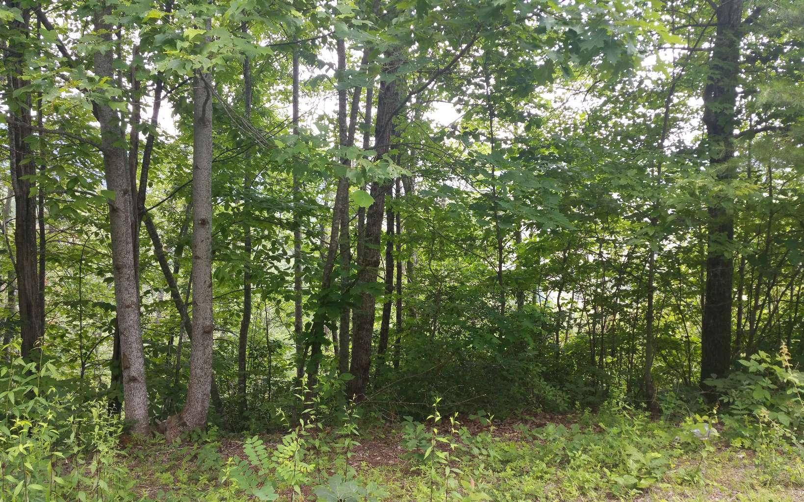 Image 3: Additional View