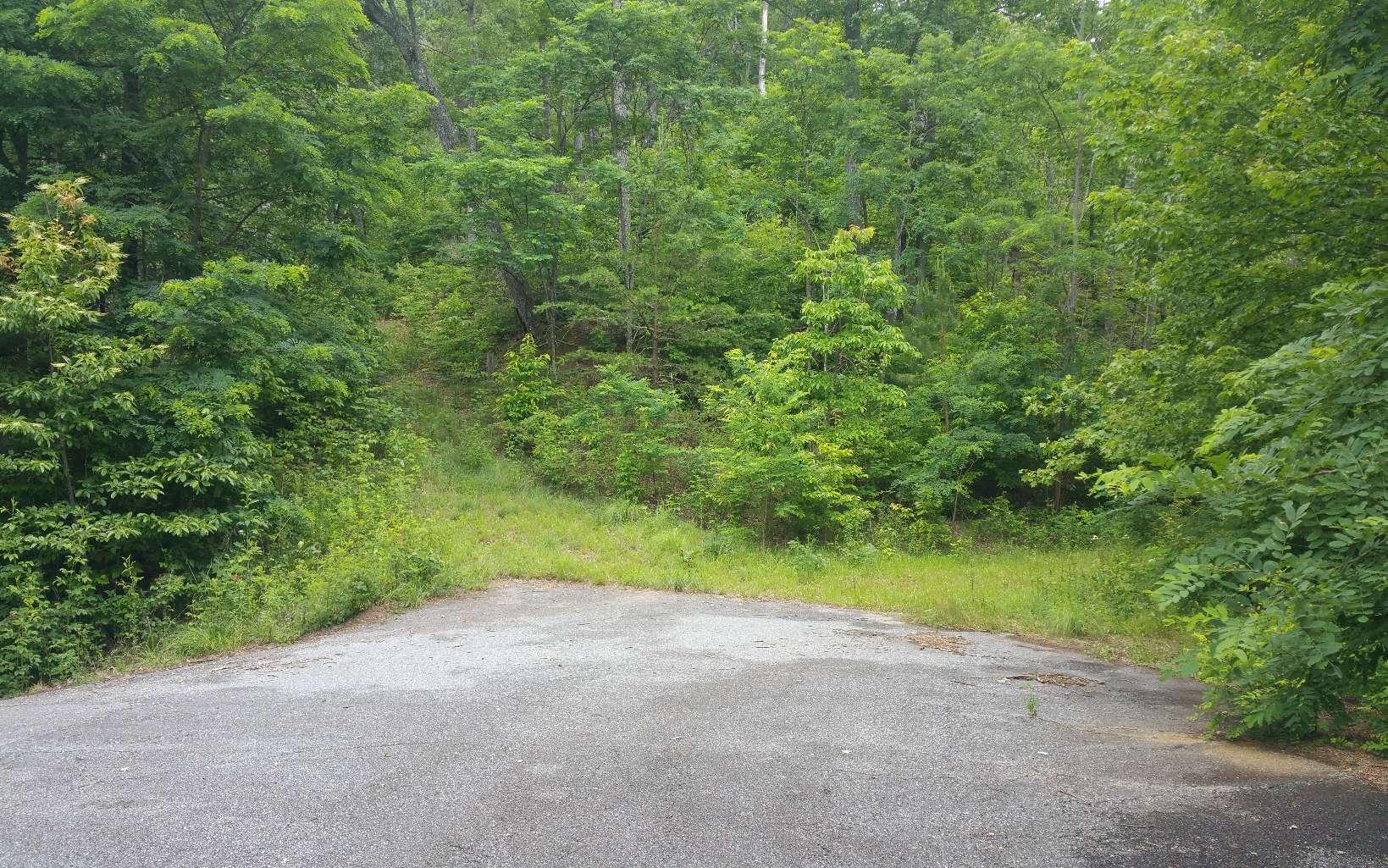 Image 4: Additional View