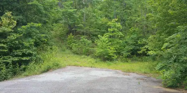 Image 4: Additional View