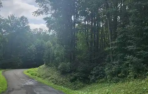 LT175 Trailwood Drive