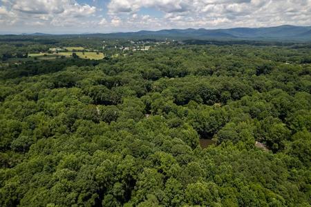 Hickory Trail