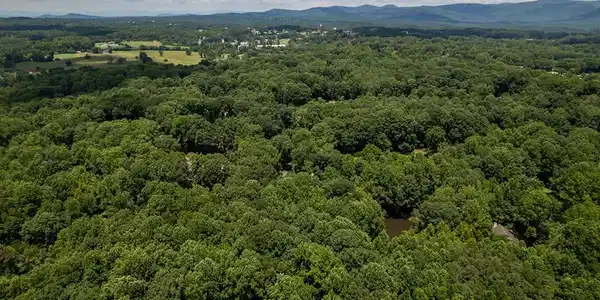 Hickory Trail
