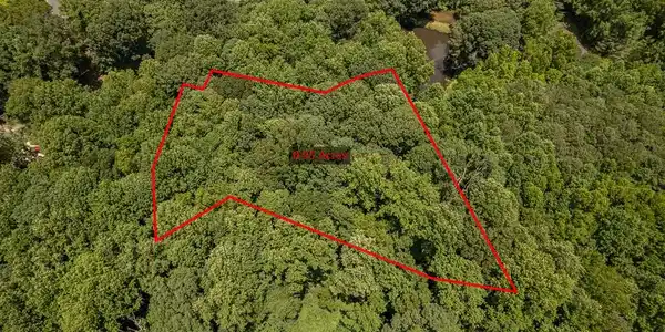 Image 2: Outline