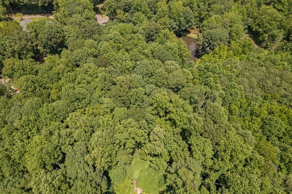Image 3: Aerial view