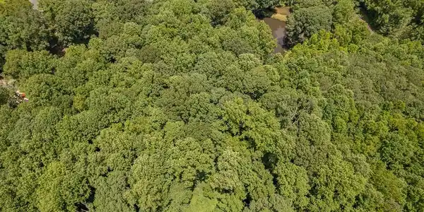 Image 3: Aerial view