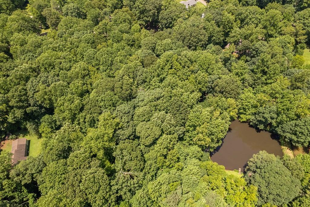 Image 4: Aerial view