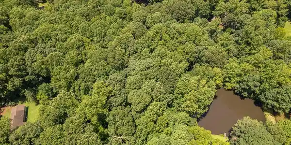 Image 4: Aerial view