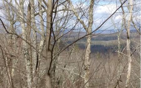 6 AC Old Burnt Mountain