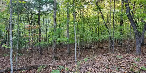 North View Trail