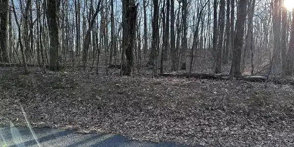Image 4: road scan left to right