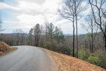Lot 8 Oceola Drive