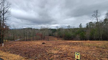Lot 8 Arbor Creek Trail