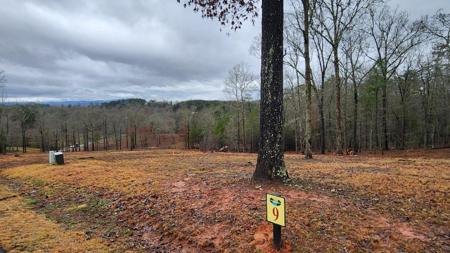 Lot 9 Arbor Creek Trail