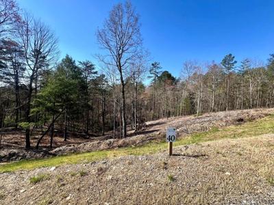 Lot 40 Mountain Laurel Ridge