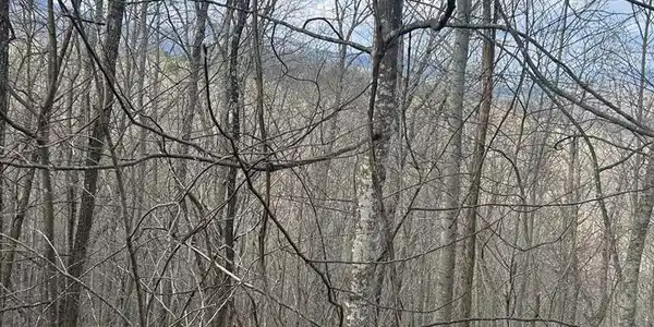 Buck Ridge Drive