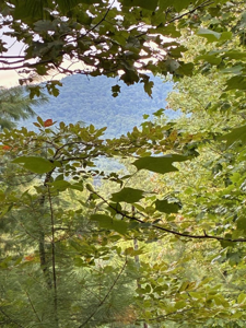 50+/- Pickelsimer Road