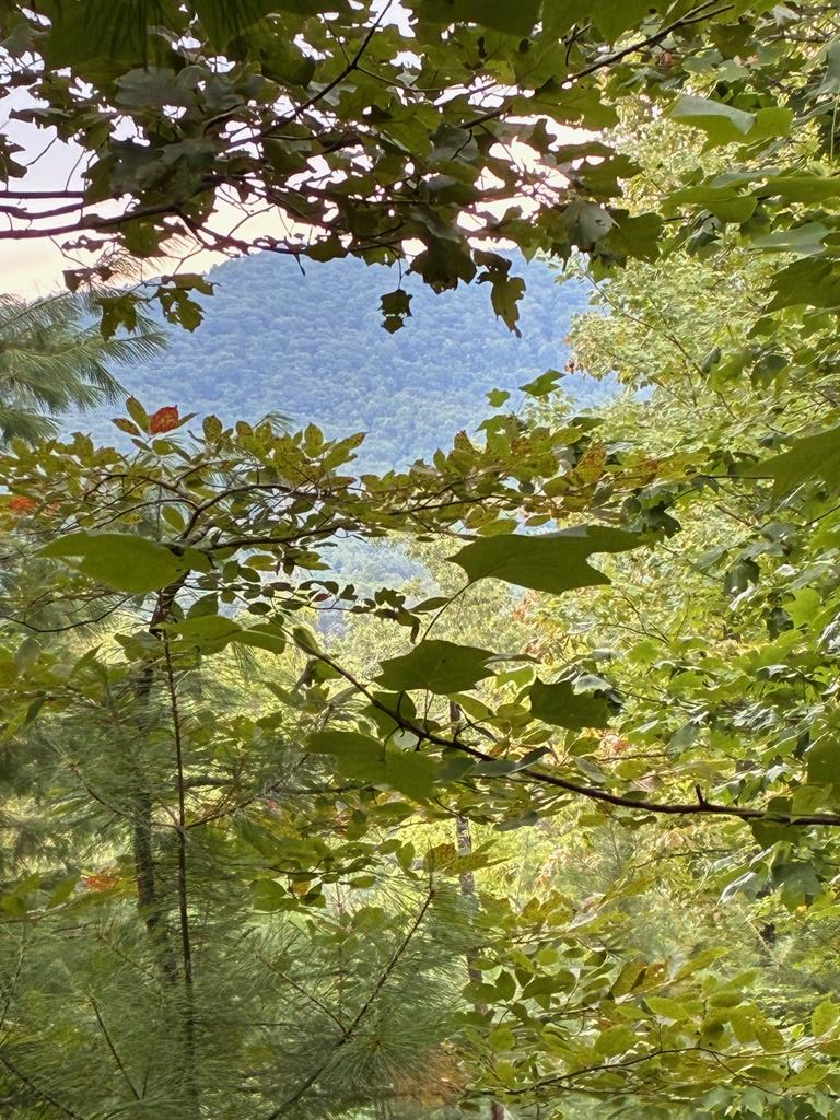 Image 1: Main View