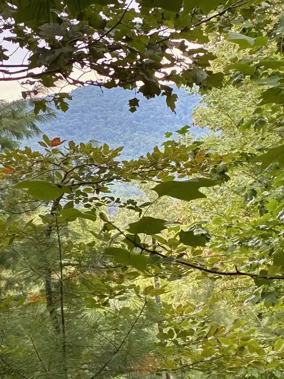 Image 1: Main View