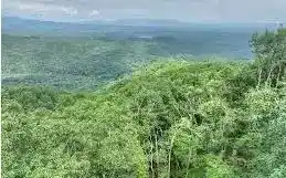 Image 1: Main View