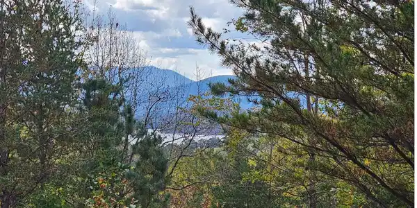 9A Chatuge Woods