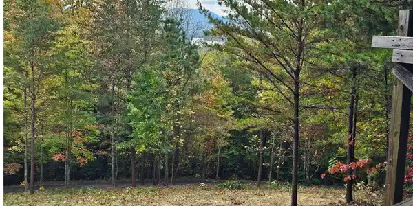 Image 4: Additional View