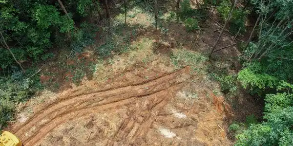Image 2: Clearing lot 3