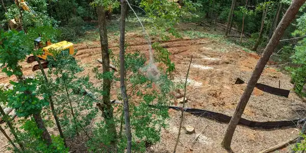 Image 4: clearing lot Aug. 10th 2026
