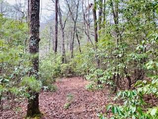 5.922 Ac Fisher Field Road