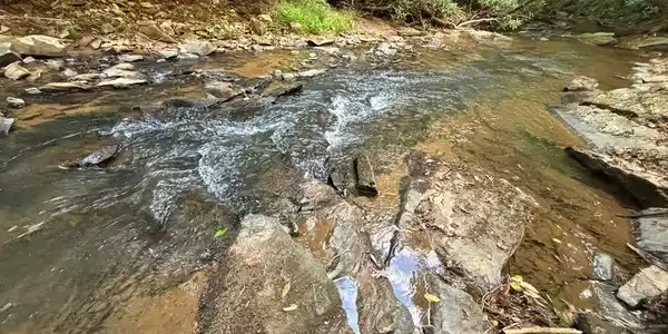 396 Mt. Springer Road